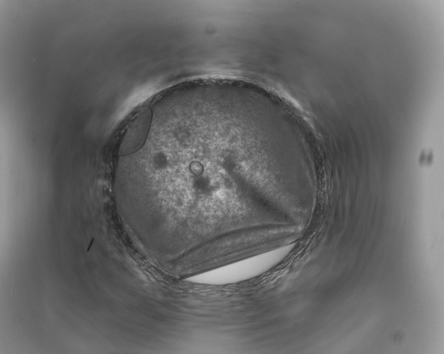 X0000090931255200708131446