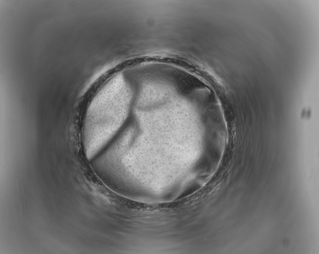 X0000090931256200708131446