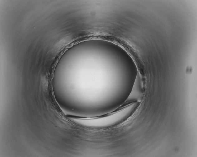 X0000090931257200708131446