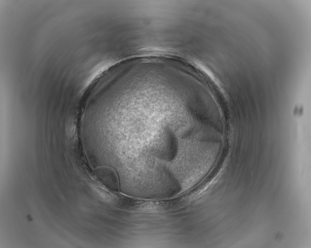 X0000090931259200708131446