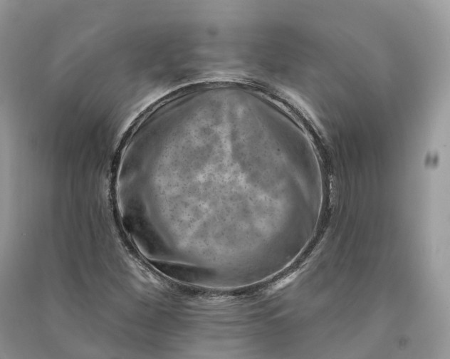 X0000090931260200708131446