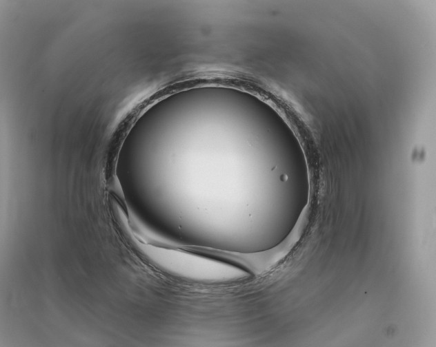 X0000090931261200708131446