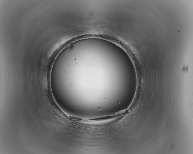 X0000090931262200708131446