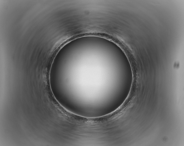 X0000090931265200708131446