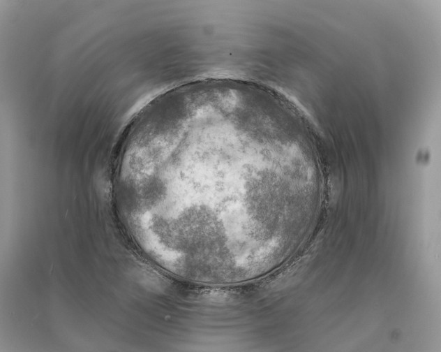 X0000090931266200708131446