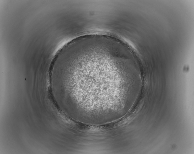 X0000090931267200708131446