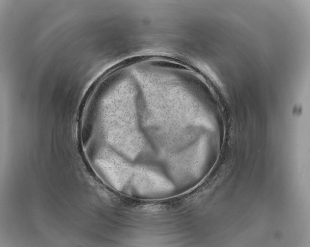 X0000090931268200708131446