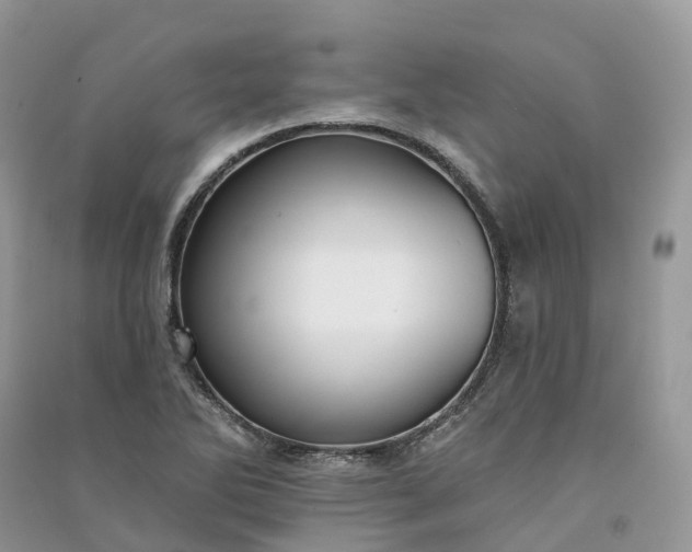 X0000090931270200708131446