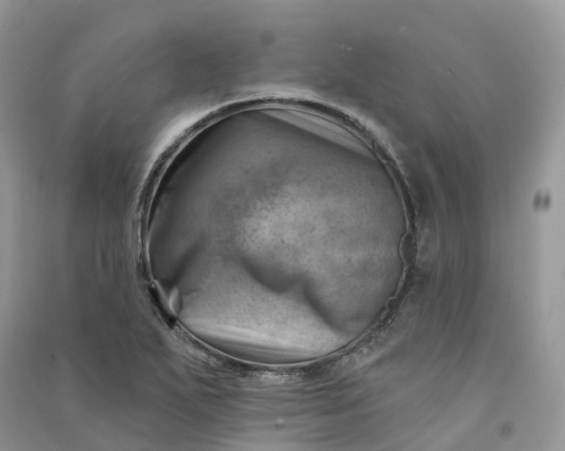 X0000090931271200708131446