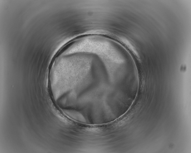 X0000090931276200708131446