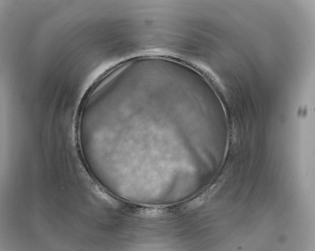 X0000090931278200708131446