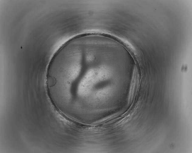 X0000090931279200708131446