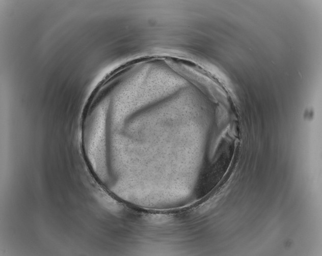 X0000090931280200708131446