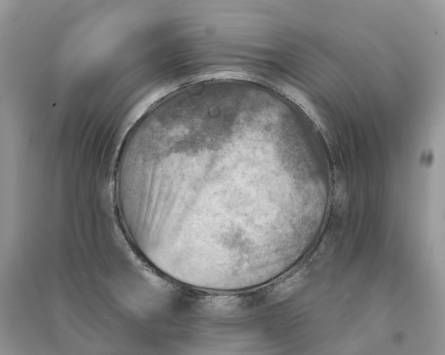 X0000090931282200708131446