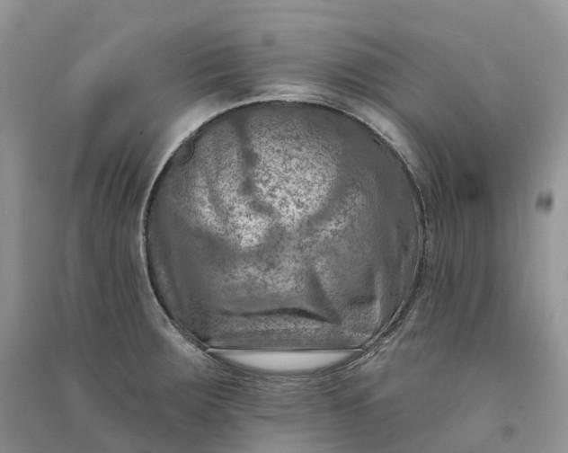 X0000090931283200708131446