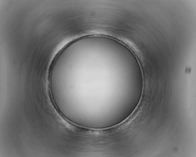 X0000090931286200708131446