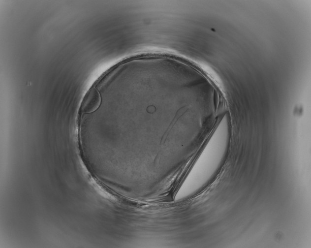 X0000090931287200708131446