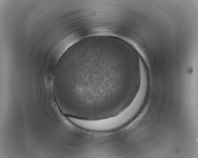 X0000090931289200708131446