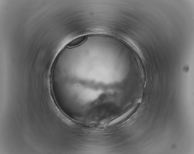 X0000090931291200708131446