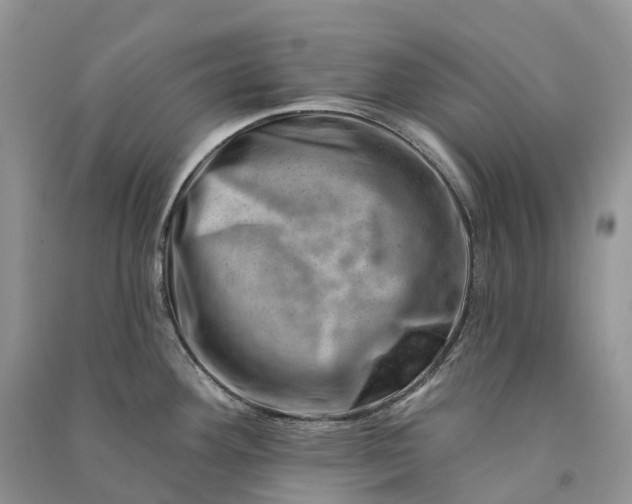 X0000090931292200708131446