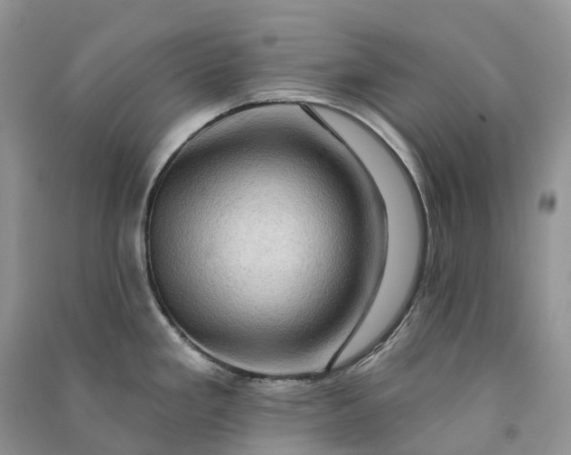 X0000090931293200708131446