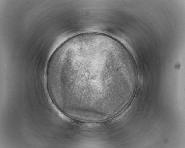 X0000090931294200708131446