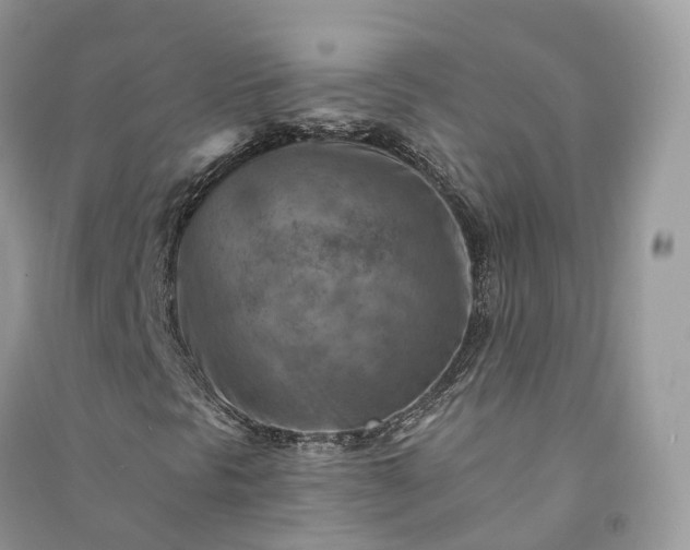 X0000090931297200708131445