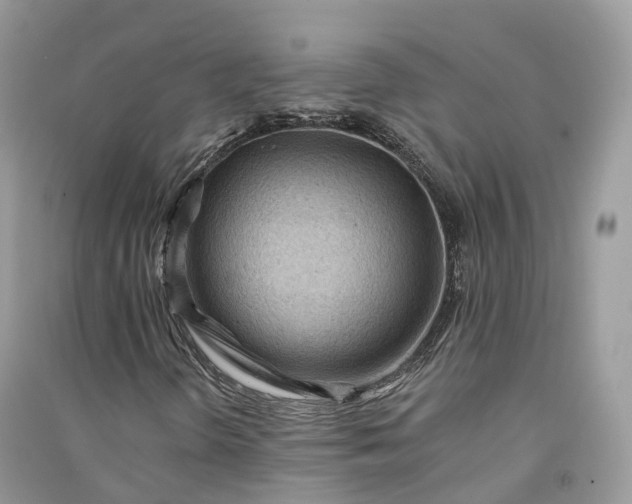 X0000090931298200708131445