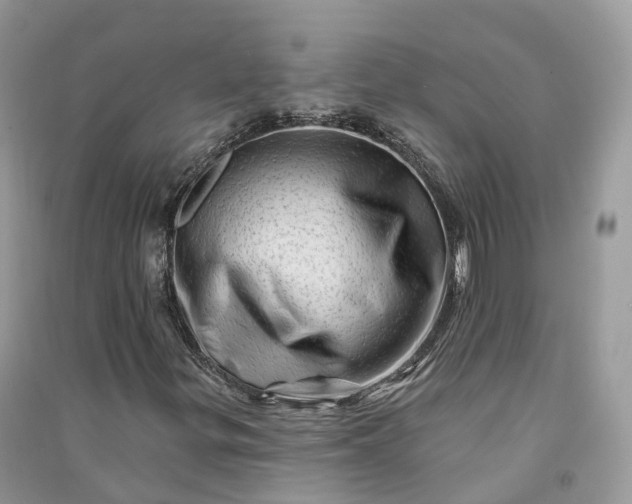 X0000090931299200708131445