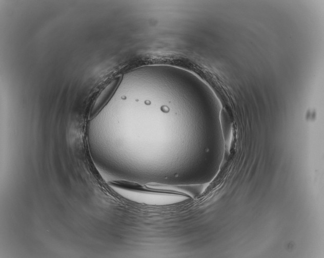 X0000090931300200708131445