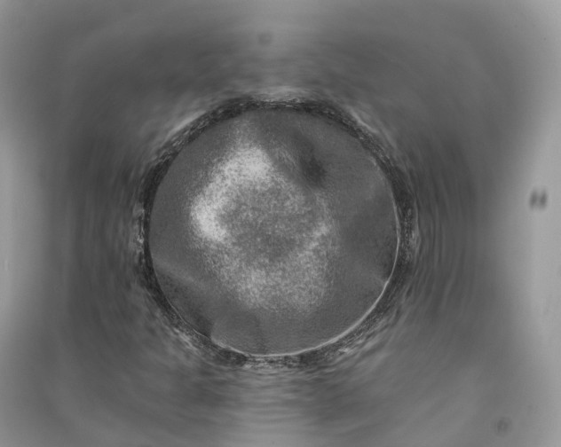 X0000090931301200708131445