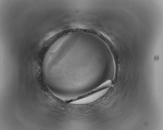 X0000090931303200708131445