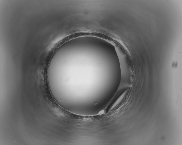 X0000090931304200708131445