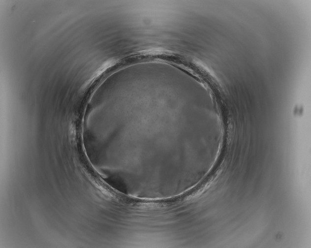 X0000090931305200708131445