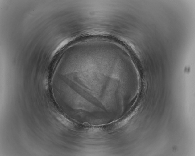 X0000090931306200708131445