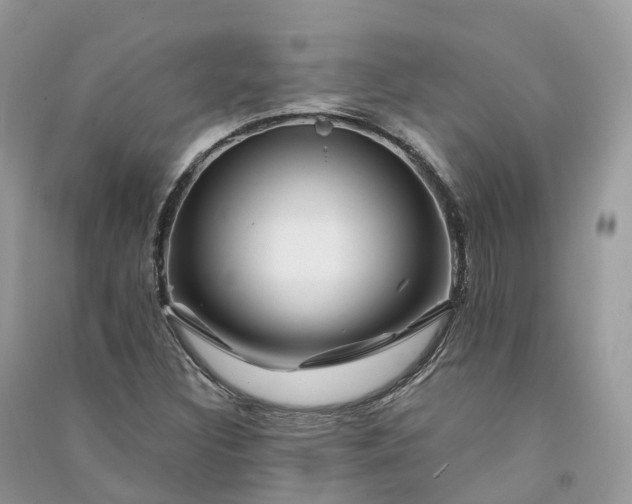 X0000090931308200708131445