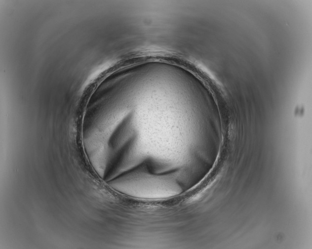 X0000090931309200708131445