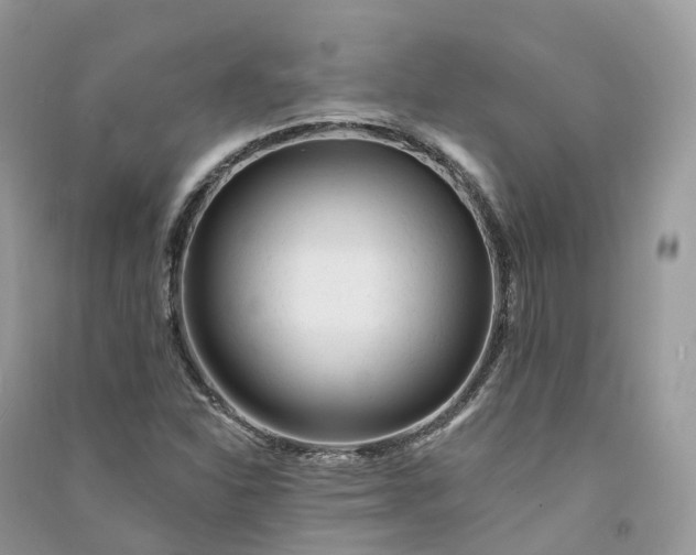 X0000090931310200708131445