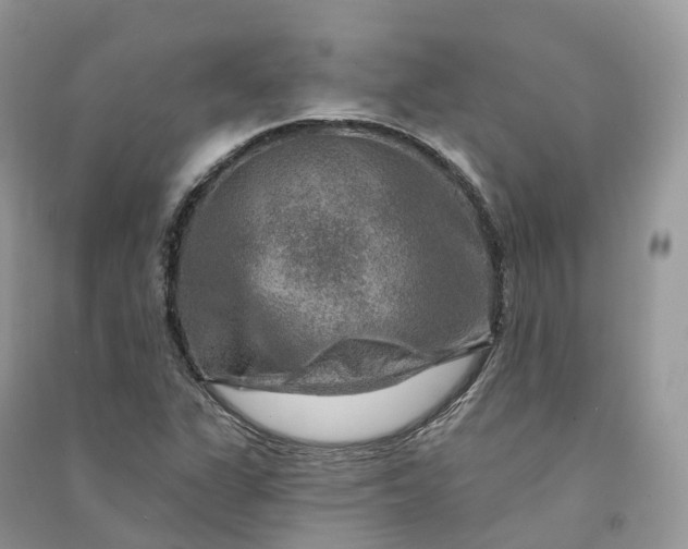 X0000090931311200708131445