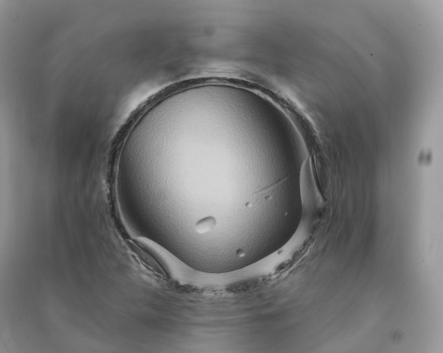 X0000090931312200708131445