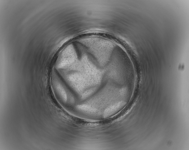 X0000090931313200708131445