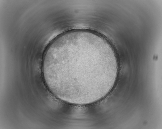 X0000090931314200708131445