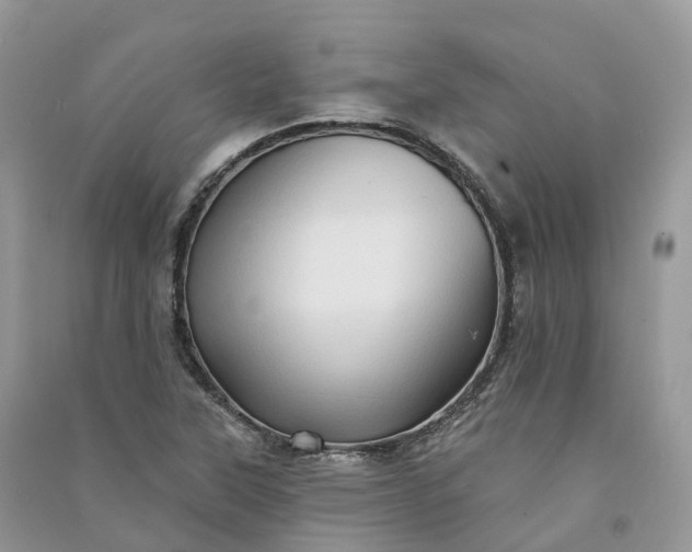 X0000090931315200708131445