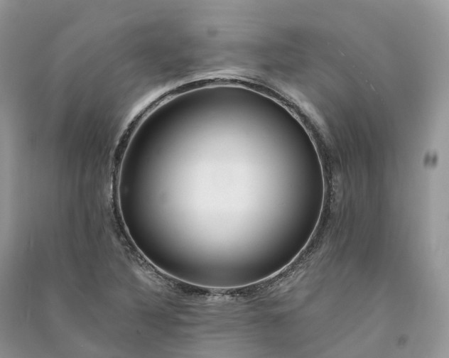 X0000090931316200708131445