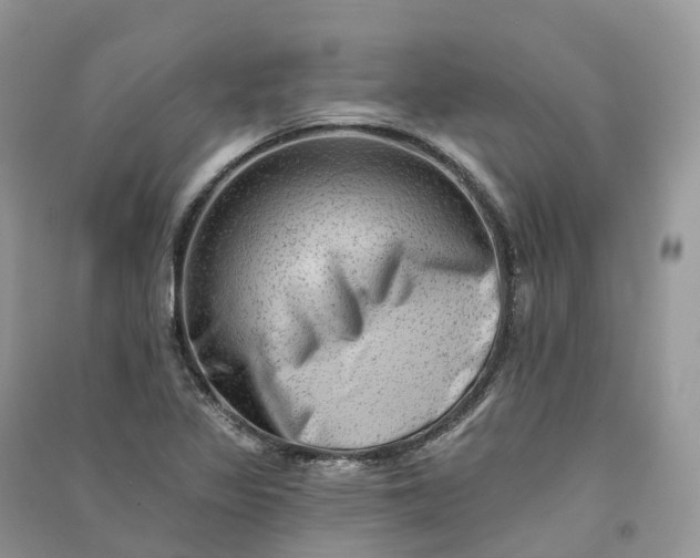 X0000090931317200708131445