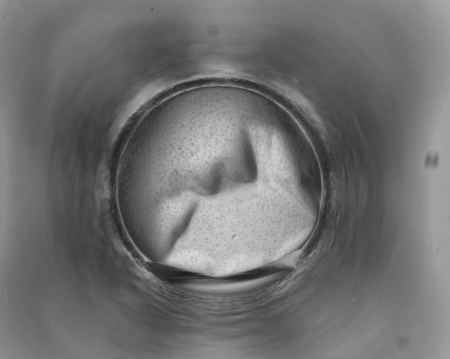 X0000090931318200708131445