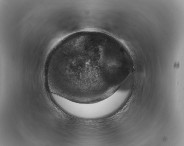 X0000090931319200708131445