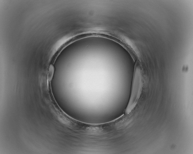 X0000090931320200708131445