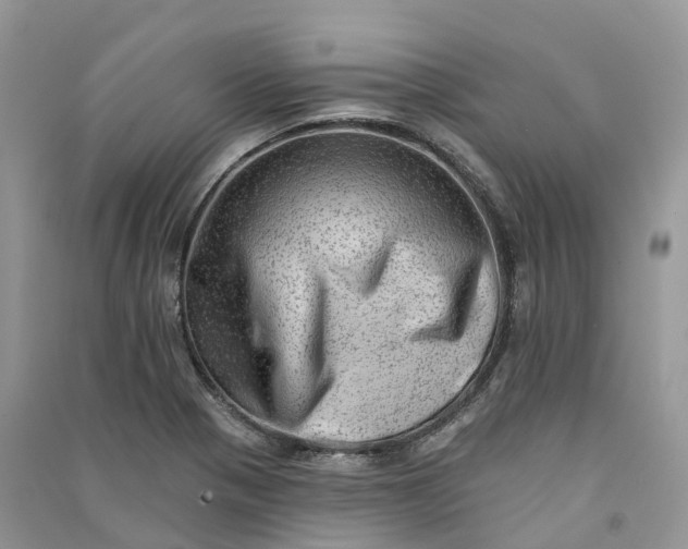 X0000090931321200708131445