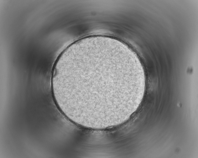 X0000090931322200708131445